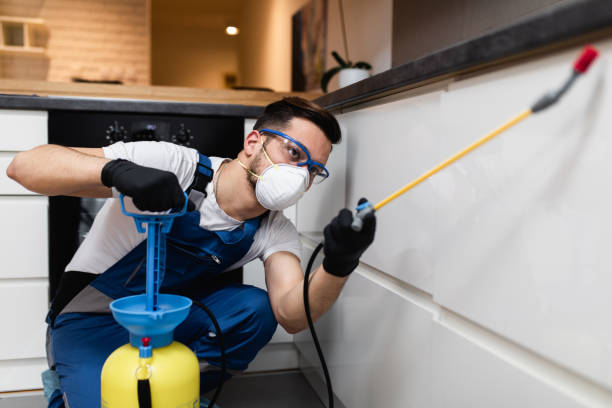 Best Affordable Pest Control Services  in Upton, WY
