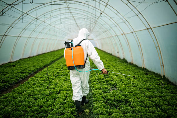 Best Pest Inspection Near Me  in Upton, WY