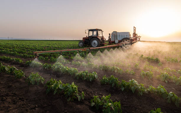 Best Pest Removal Services  in Upton, WY