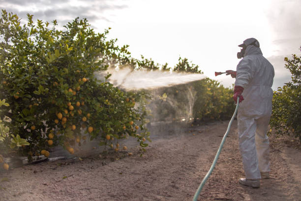 Best Flea Control Services  in Upton, WY