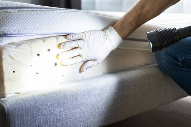 Best Emergency Pest Control  in Upton, WY