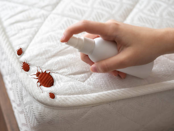 Best Pest Removal Services  in Upton, WY