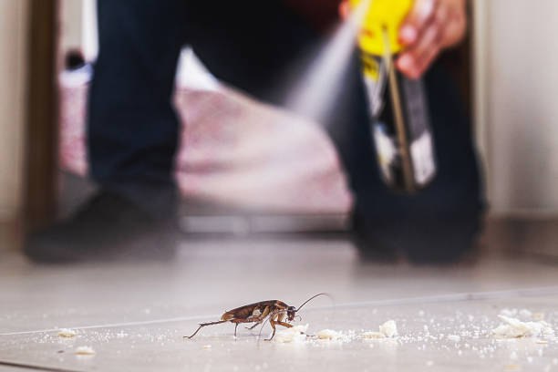 Flea Control Services in Upton, WY